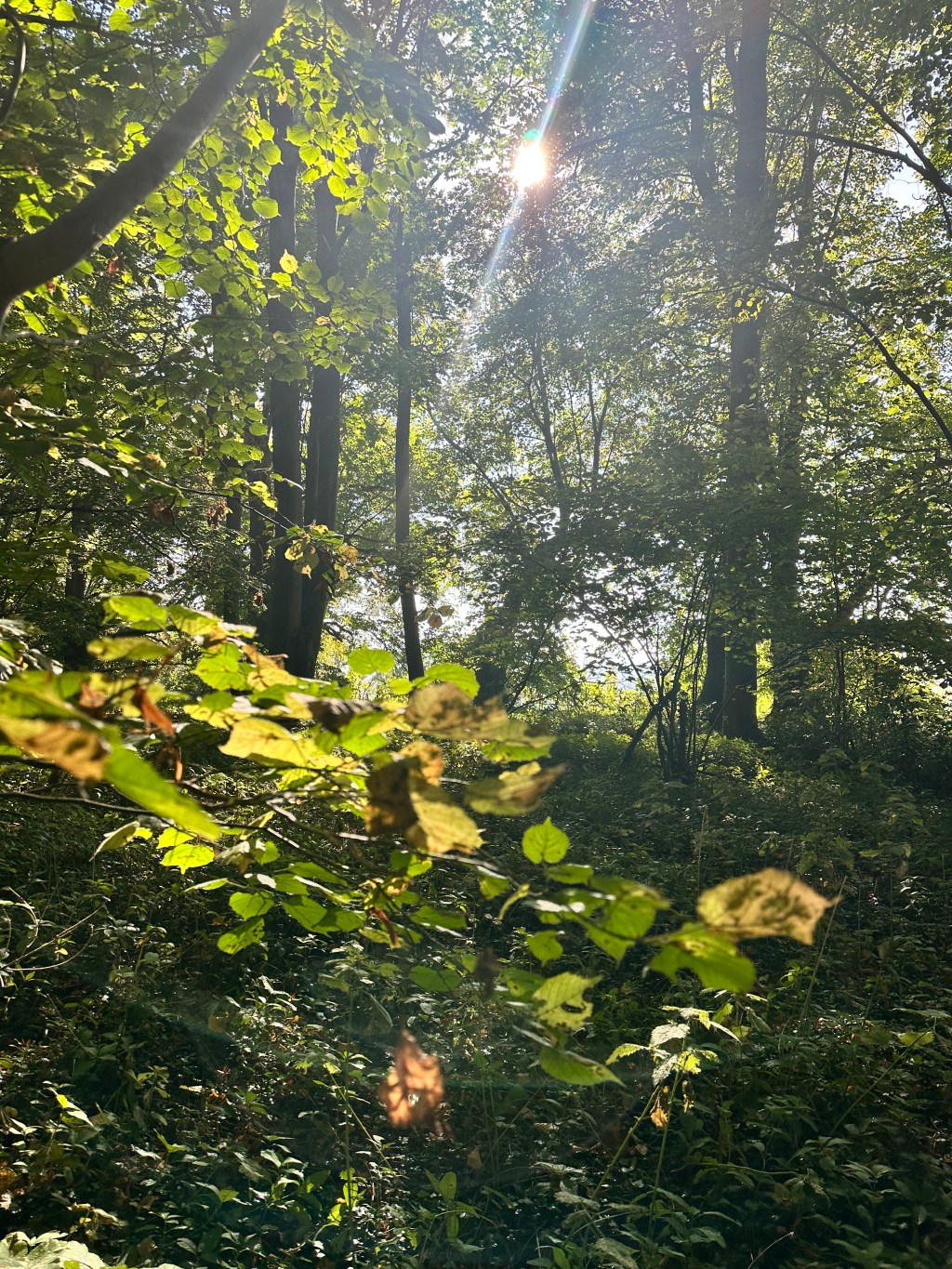 New Adventures at Home and Away: Stepping Into What’s&nbsp;Next